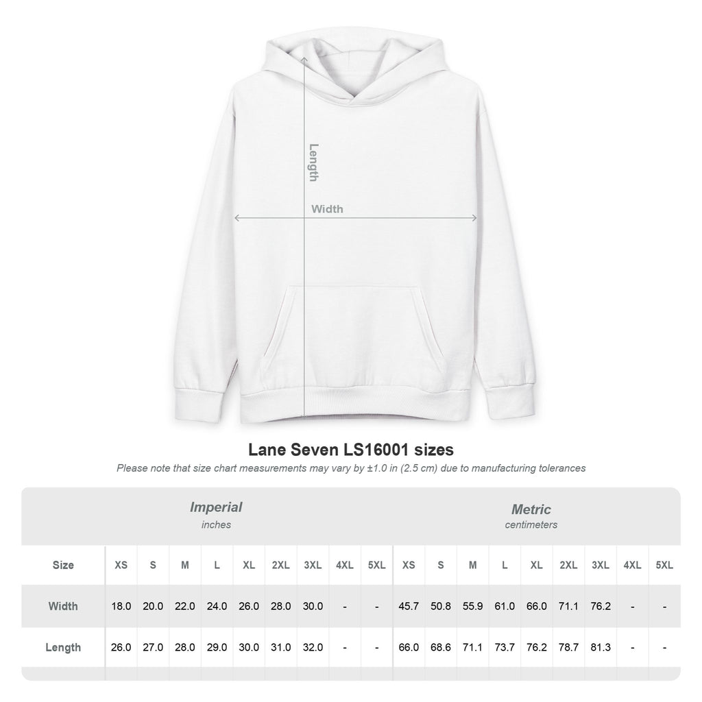 Feminine & Funded Hoodie