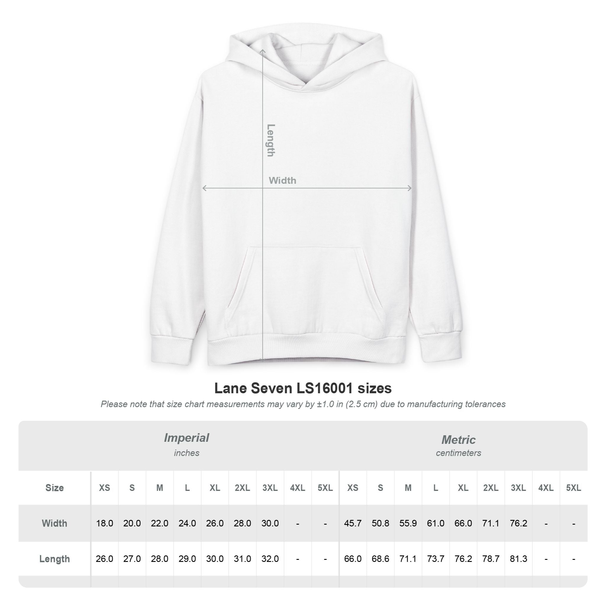 Feminine & Funded Hoodie